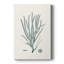 Antique Coastal Coral VII - galerie Cavas sur mesure