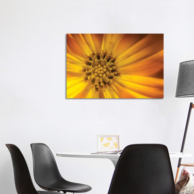 Sunflower by Glauco Meneghelli - Wrapped Canvas Print