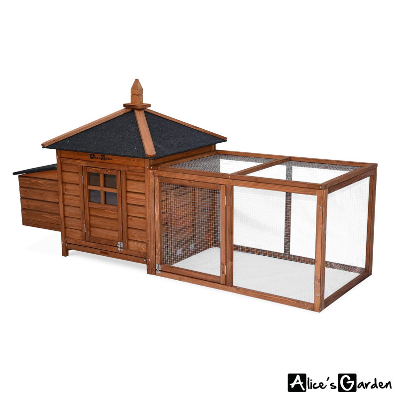 Jodie Chicken Coop with Chicken Run