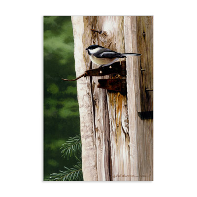 «Bird on Rusty Perch» par Rod Lawrence