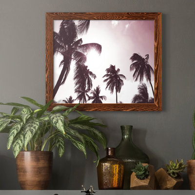 " Palm Sunshine "