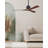 Nan 42" Ceiling Fan In Blades-12185773-61451649