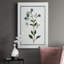 Shabby Elegance Botanical II - peinture sur toile tendue