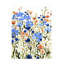Art sur toile Emma Caroline «Bright Wildflower Medley II»-407924107