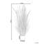 Annleigh 90cm Plant