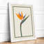 Bird of Paradise Botanical - Framed Print-327675632-327675641