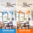 Taranto 48'' Ceiling Fan with Light Kit