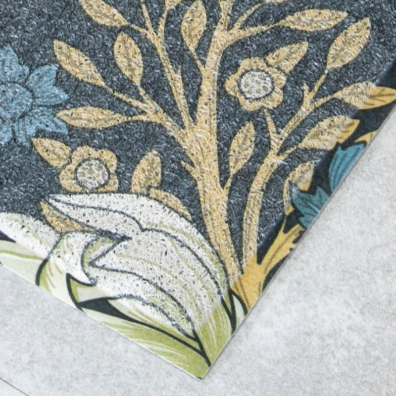 Montoyia Non-Slip Indoor Doormat