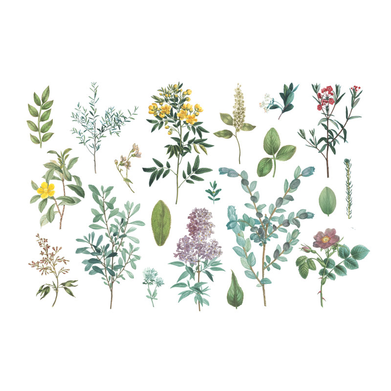 Victorian Garden Bright IV 1 Piece Wrapped Canvas Wall Art, 20cm H x 30cm W