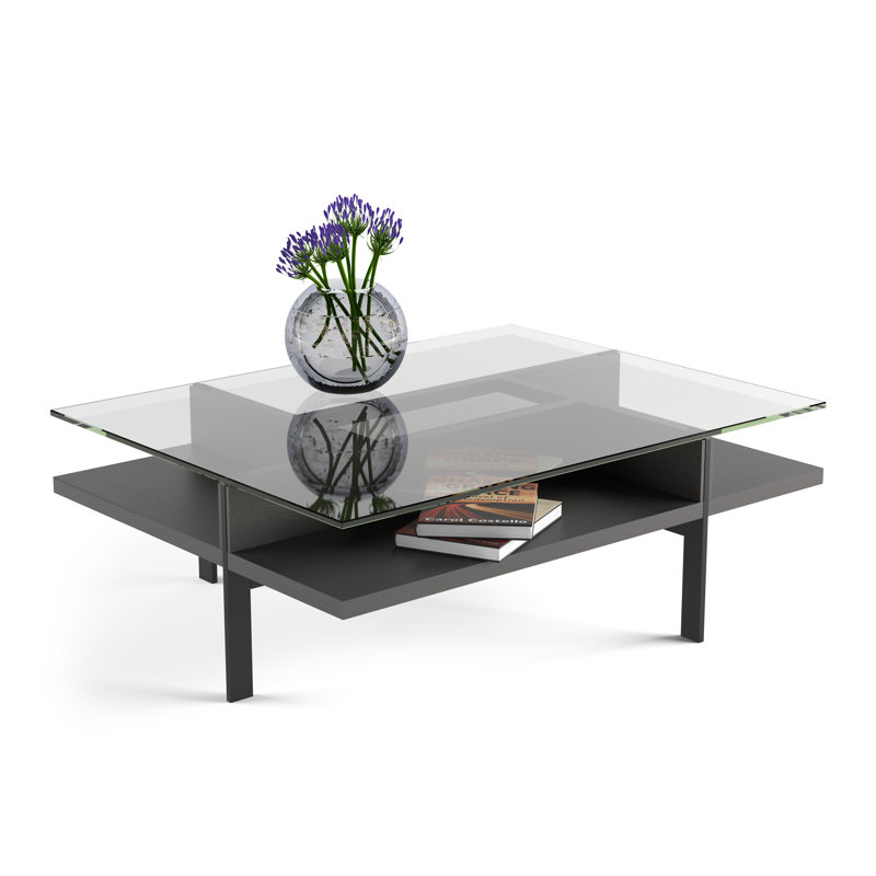 Table basse avec rangement Terrace, H 16,25 po x L 44 po x l 34 po, Charbon