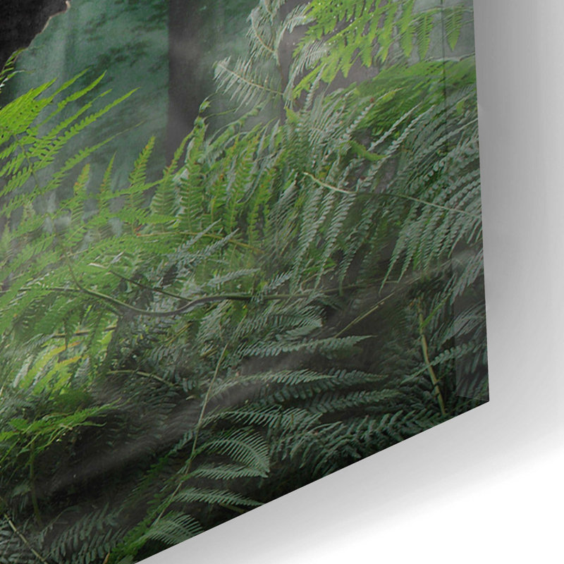 " Carnotaurus, " by Damir Martin, 12" H x 24" W x 0.2" D