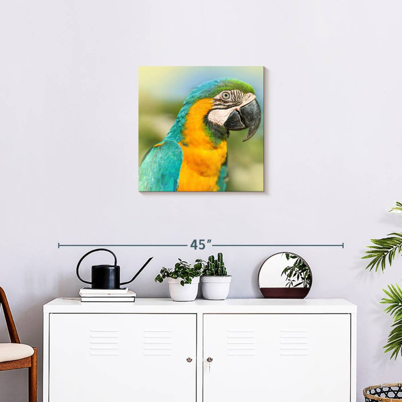 Brampt Parrot, 20" H x 20" W