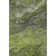 Premium Machine Washable Cerrito AMF599 Green Rug