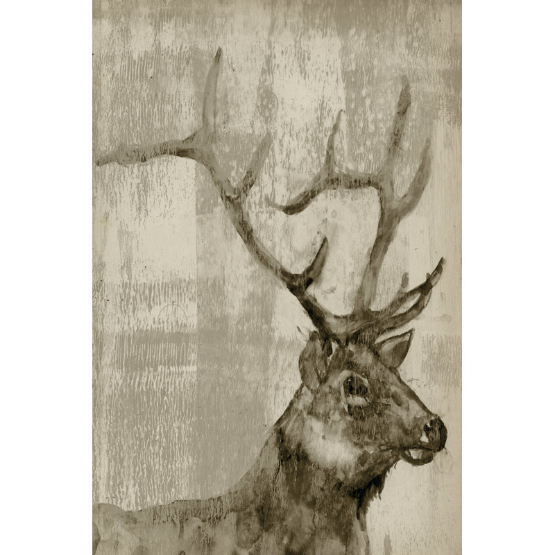 Sepia Elk by Jennifer Goldberger - Wrapped Canvas Print, 46cm H x 30cm W