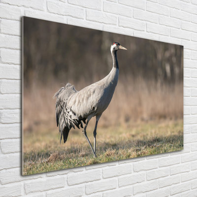 Heron - No Frame Print on Glass