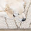 Tapis beige crème moderne à motif géométrique Botelho-2072058825