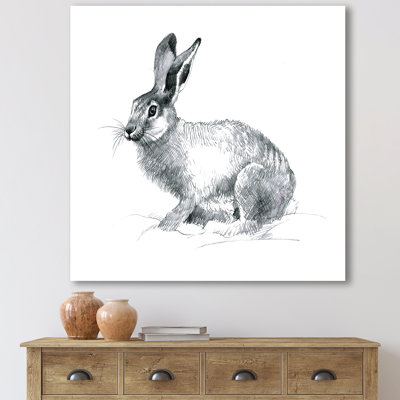 " Monochrome Portrait Of Rabbit "