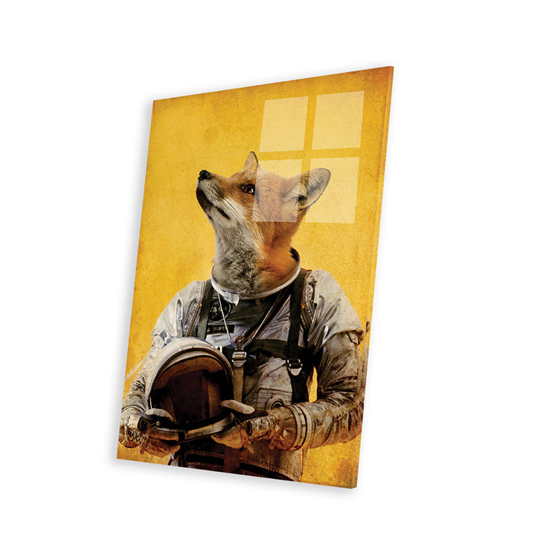 Renard de l'espace, H 24 po x l 16 po x P 0,25 po