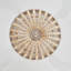 Ventilateur de plafond rétractable 48 pouces Callandra