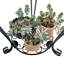 Supports pour plantes