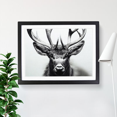 XH1022-9479X Unique Stag Deer 1 Piece Single Picture Frame Wall Art