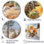 Charme de tournesols en hiver - impression-24245233-24245239