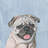 " Adorable Pug " by Marmont Hill Painting Print-1865278079