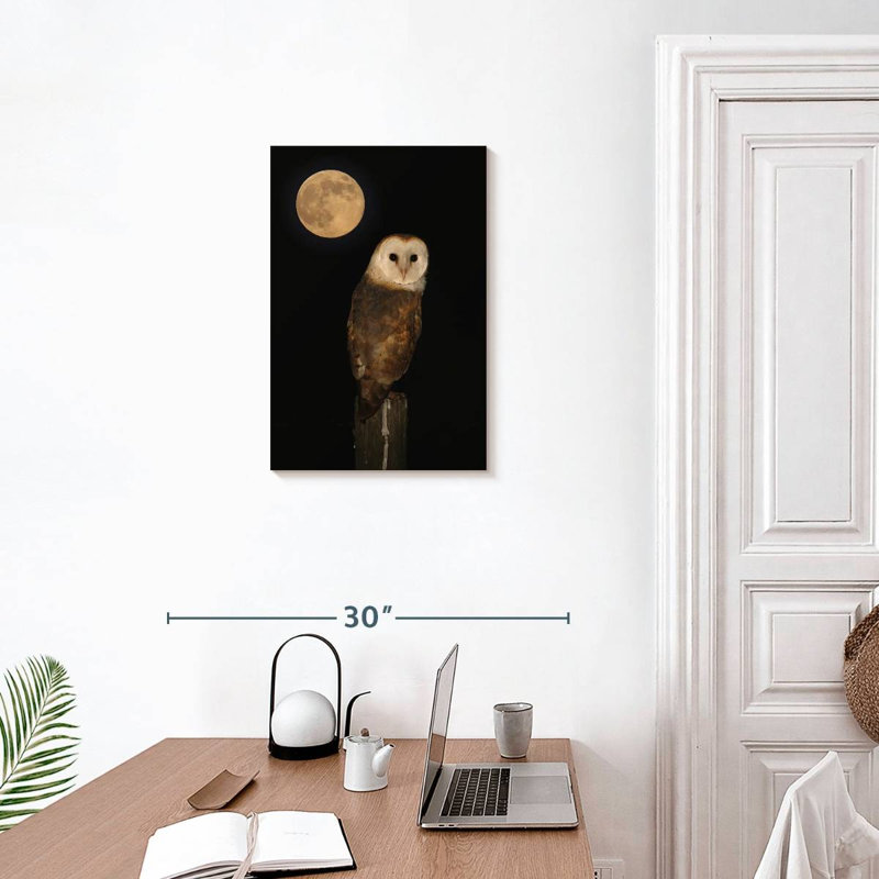 Full Moon Owl