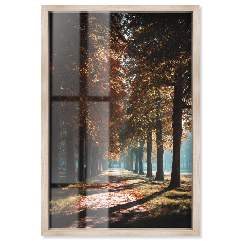 Décoration murale rétro Golden Path I Shadowbox par Art Remedy, cadre blond, 24 x 36, Cadre blond, H 37 po x l 25 po