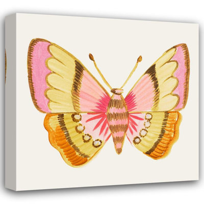 Art sur toile tendue, Asti Grand Del Sol, Ani Gallery, Bright Butterfly