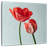 Harnek Lovely Red Tulips