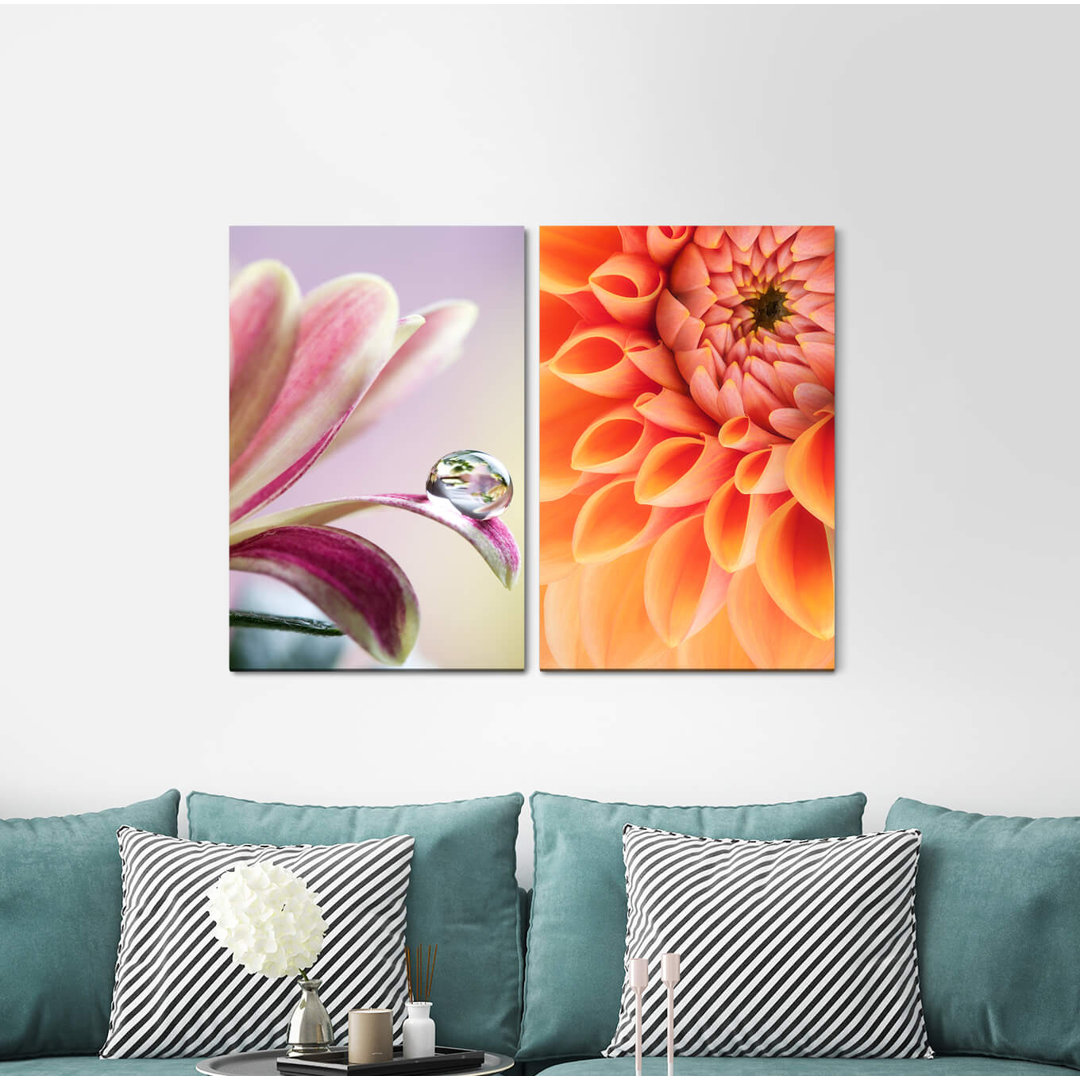 2-tlg. Leinwandbilder-Set - Grafikdruck „Dahlia Water Drops Zinnias Flowers Nature”