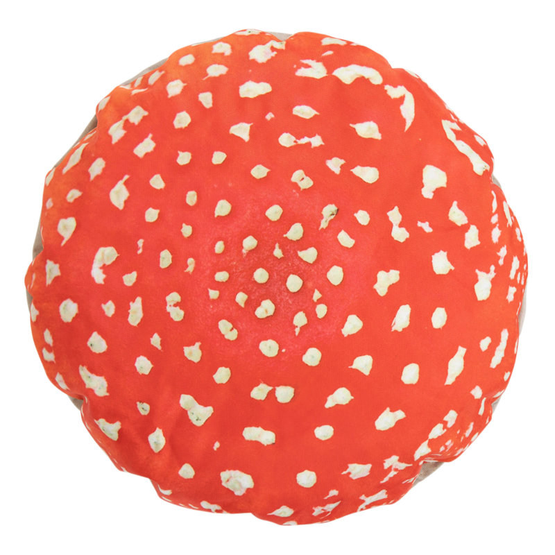 Icon Kids Accent Stool