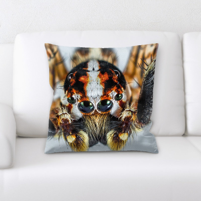 Coussin de spider saut