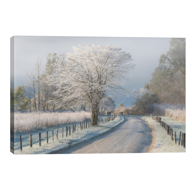 A Frosty Morning by Chris Moore - Wrapped Canvas Print, 101.6 cm H x 66.04 cm W x 3.175 cm D