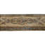 Oriental Area Rug in Beige