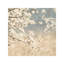 Cherry Blossoms II by John Seba - Wrapped Canvas Print-101416036-42154077