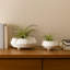 Ensemble de 2 bols de 15, 11 po-700116986