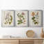 «Vintage Flowering Trees II», ensemble de 3 impressions sur toile encadrées-428839000-428839001