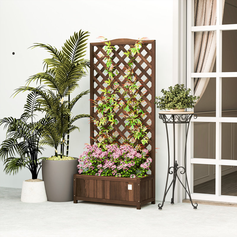 Wood Raised Garden Bed with Trellis