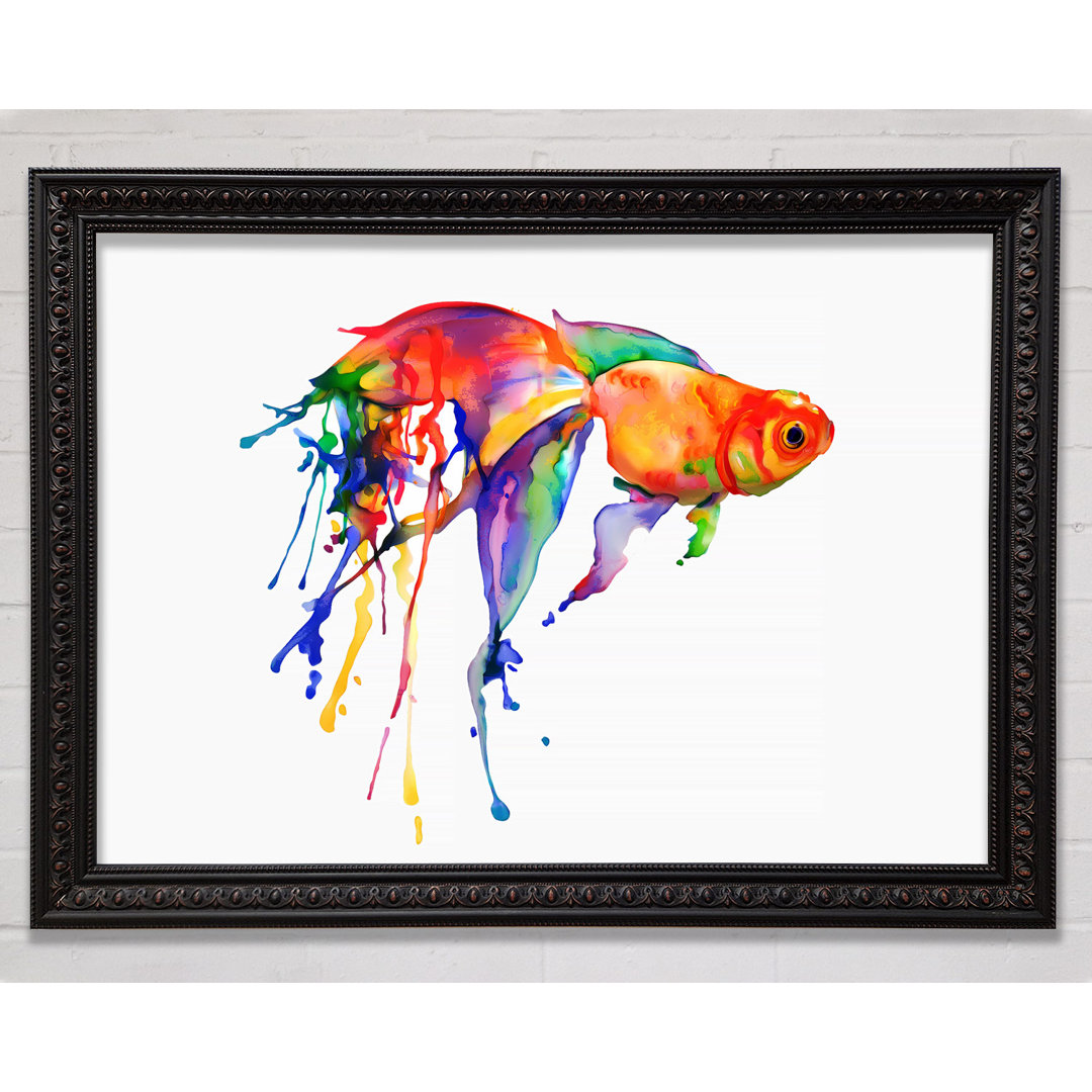 Regenbogen Silberfisch - Druck