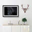 Enchanting Black Stallion Horse - Picture Frame Painting Print-55539746-55539745