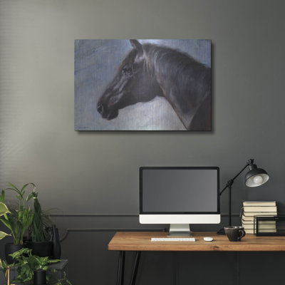 " Equine Encounter " by Robert Campbell