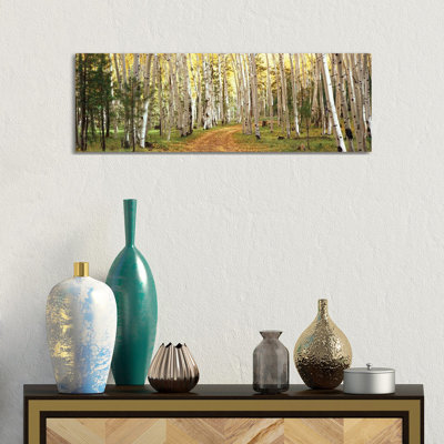 Aspen Trees In A Forest, Dixie National Forest, Utah, USA- Gallery-Wrapped Canvas Giclée
