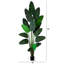 108 plantes