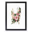 Hollyhock Flower Illustration - Framed Print-55642008-55642009