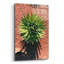 " Utah - Cactus 2 "-91808160