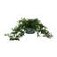 Merrie Faux Ivy Plant in Ceramic Pot