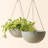 Bee Honeycomb Plastic Hanging Planter-62253644-93631317