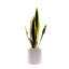 Faux Plant in Ceramic Planter